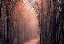 中超首轮最佳进球候选?韦林顿的无敌摆脱和飙飞神箭世界波令人惊叹今天下午,2025赛季中超联赛第一轮的一场青岛德比引起了广泛关注。青岛海牛队在主场迎战青岛西海岸队,尽管两次取得领先,但最终却被对手追平,比赛以2-2的平局结束。尽管比赛最终以平局结束,但这场比赛的第一个进球….