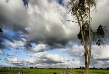 国际大赛哪有重考的说法?错过世青赛可能是一次人生的转折点.