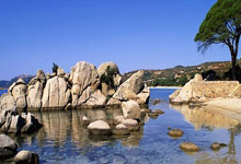 利雅得勝利簽C羅背後有故事!沙特人稱分作五個階段、那一通直等不到的回電.